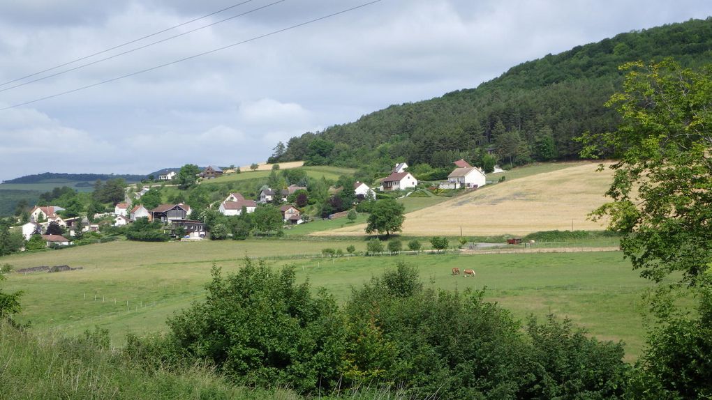 Le village de Clémencey et les champs de bleuets