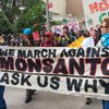 L'esercito USA opera per la Monsanto per colpire gli attivisti NO-OGM