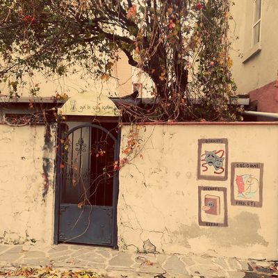 Frontières : " Trace"  (...)