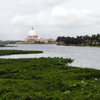 TERRAIN NU DE 1000 M2 A VENDRE  VILLE YAMOUSSOUKRO