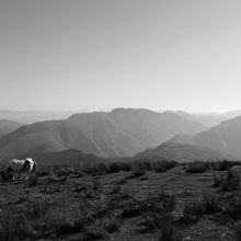 Artzamendi depuis Itxassou ( Pyrénées-Atlantiques 64 ) AA