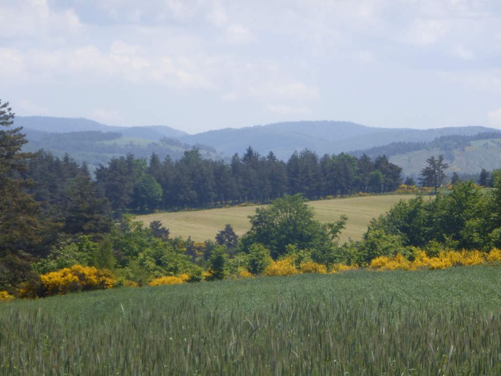 Chemin de Stevenson : Lac de Naussac &gt; Cheylard-L'évêque