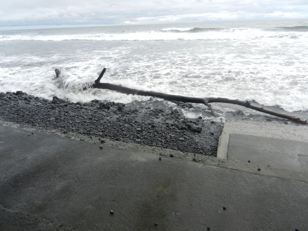 Limbé et ses plages, son parc botanique, son centre de la faune, son activité. Buea base pour le Mont Cameroun et le pont M'Fundi base pour le Nigeria