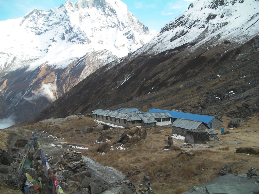 Album - De l'Annapurna Base Camp (4 130m)