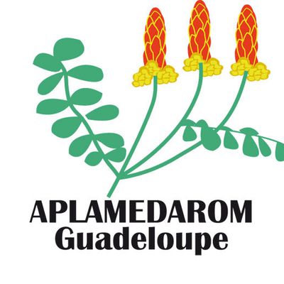 APLAMEDAROM: Association pour les Plantes Médicinales et Aromatiques de Guadeloupe