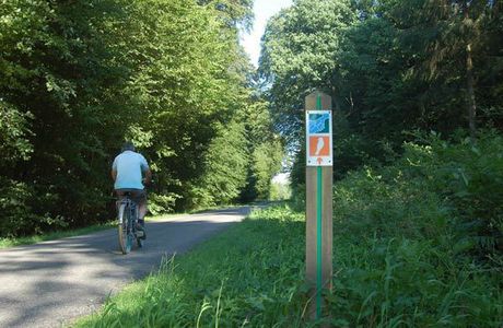 La forêt de Crécy