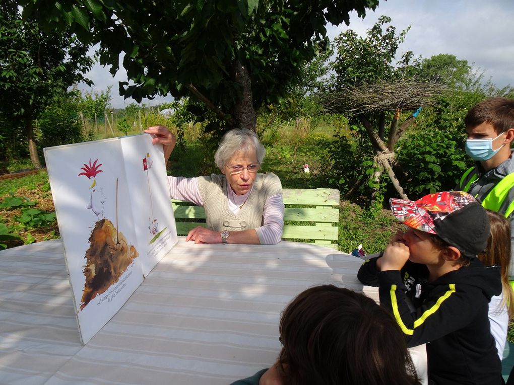 L'accueil de loisirs d'Haverskerque au jardin de l'Ermite