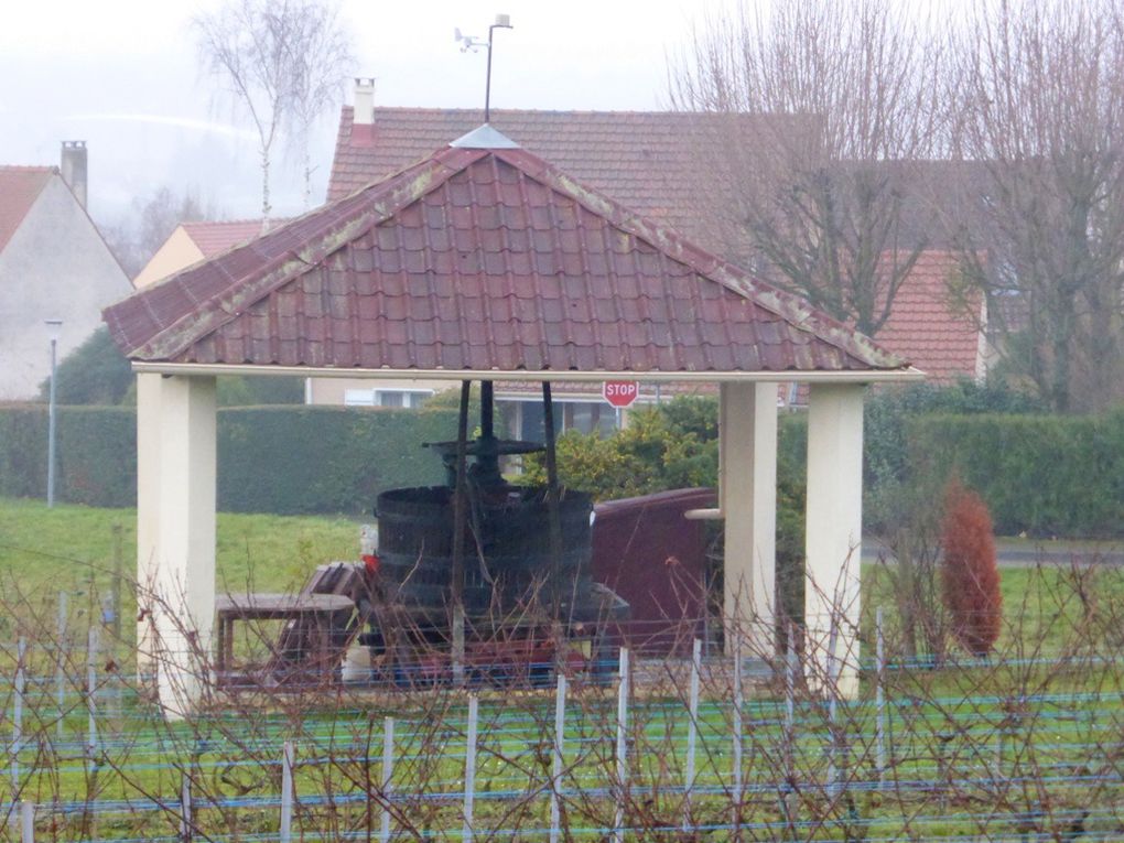 Chanteloup les Vignes - le pressoir