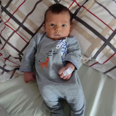 A year in review ...