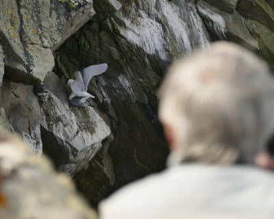 Hommage à un grand ornithologue français