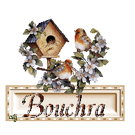 petits oiseaux pour Bouchra