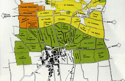 Les vignobles Puligny-Montrachet et Chassagne-Montrachet 