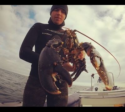 On n'attrape pas les mouches avec du vinaigre ...
