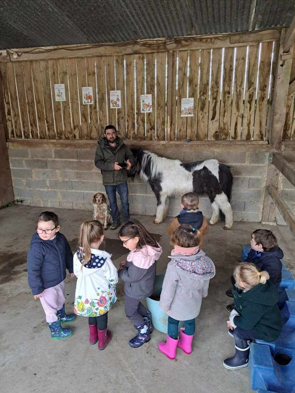 Séance 1 classe TPS PS.  Mardi 2 avril était le grand jour! Nous attendions avec impatience cette matinée poneys qui a fait plaisir à tout le monde! 3 ateliers ont été proposés : découverte de l'animal dans l'écurie, promenade à dos de poneys dans le manège, production artistique et lecture/chants dans la salle d'activité.  vivement la semaine prochaine !