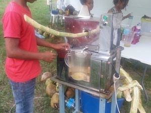 Festival de Jazz et préparation du Jus de canne