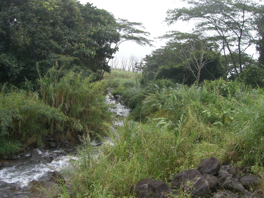 La Fortuna, Volcan Arenal, sources d'eau chaude de Baldi