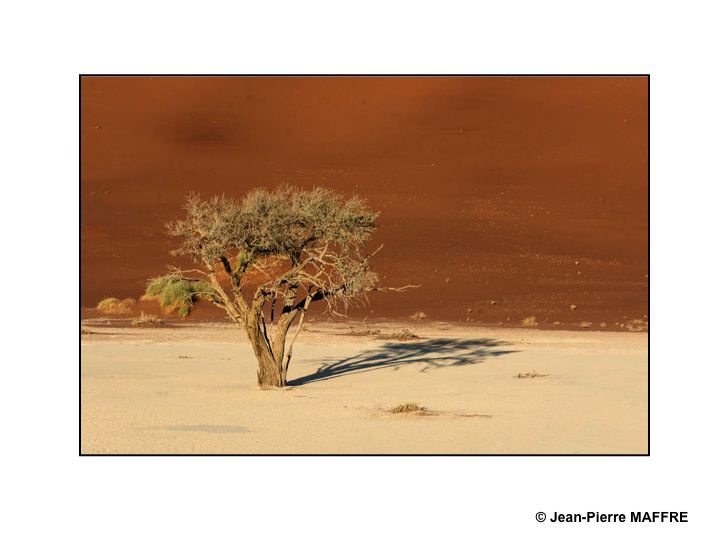 Situé entre le désert du Kalahari et l'océan Atlantique sud, la Namibie regorge de paysages hors du commun.