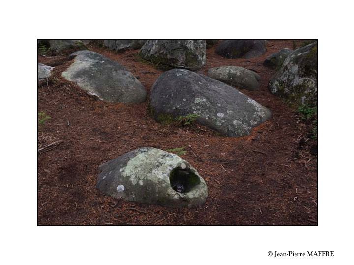 Quelle belle découverte que cette profusion de rochers aux formes insolites qui peuplent l'inoubliable forêt de Fontainebleau.