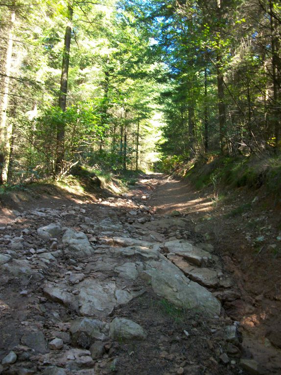 Album - Vallée-de-la-Cure