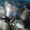 Surface Hardening of Austenitic Stainless Steel with Nitrogen By yaang.com