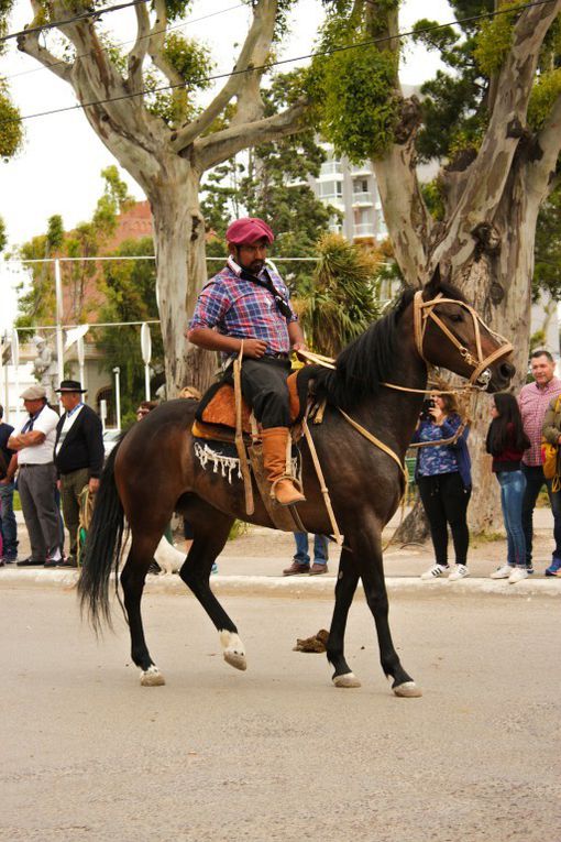 Fiesta del cordero de Puerto Madryn.. Les Gauchos.