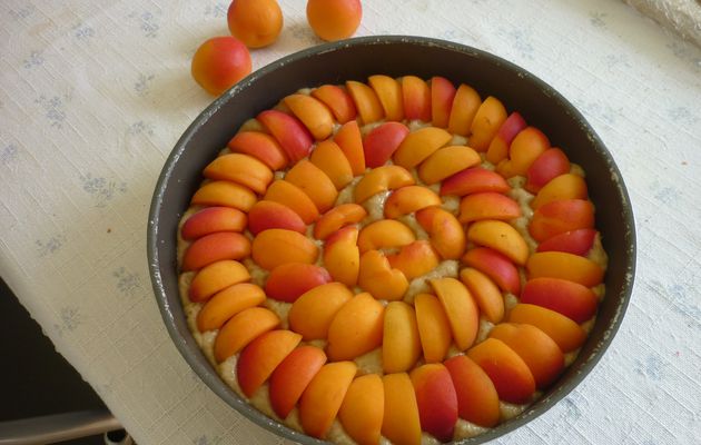 Gâteau moelleux aux abricots frais