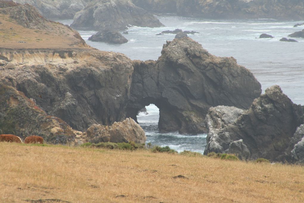 USA Road Trip - Jour 06/25 - Carmel By The Sea / Pismo Beach