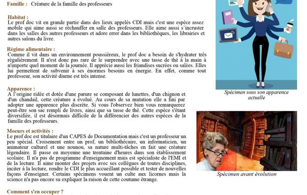 Fiche d'identité du professeur documentaliste