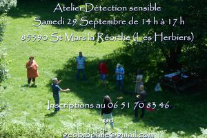 Atelier Détection Sensible Sam. 29 Sept. 2018