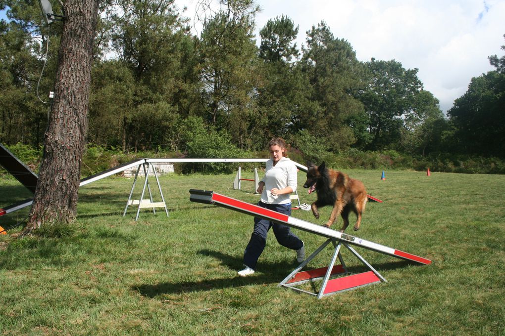 Album - 2012-06-30-Entrainement-Agility et entretien club