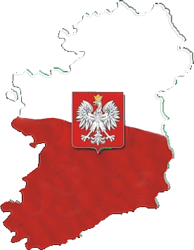 Polonia - La diaspora polonaise en Irlande