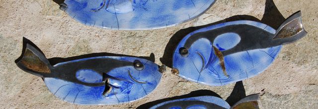 Les poissons : enfants de l'eau ?