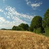 Le Perche en photos : Orge, arbres et ciel par Caramel (membre Flickr).