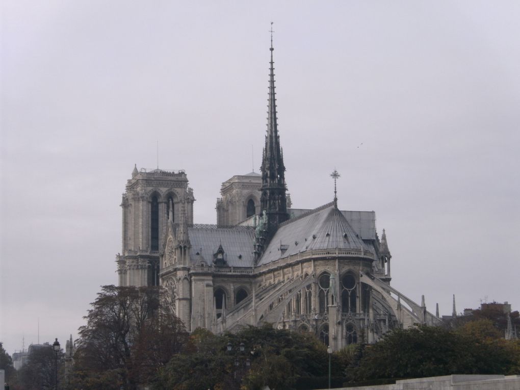 Paris en novembre