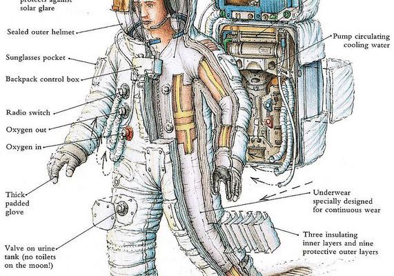 Anatomy of a suit