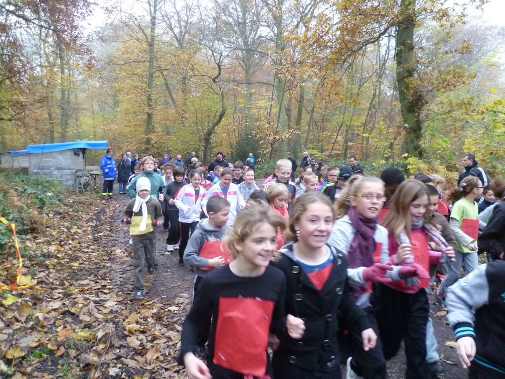 Les CE2, CM1 et CM2 de Brossolette ont participé au cross organisé par l'Office Municipal des Sports en forêt des Essarts