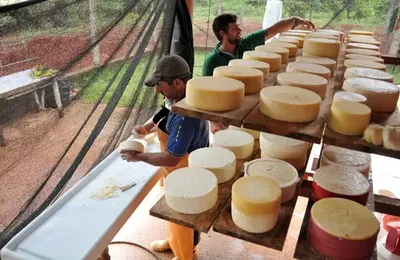 La méthode de préparation du fromage Minas est reconnue par l'UNESCO comme patrimoine culturel immatériel