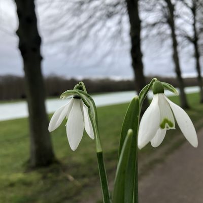 Randonnée dans le parc du château de Versailles - 11 km.