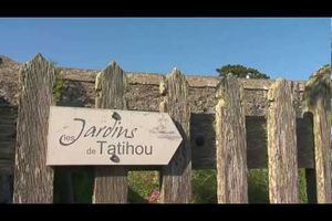 Normandie : les jardins de Tatihou