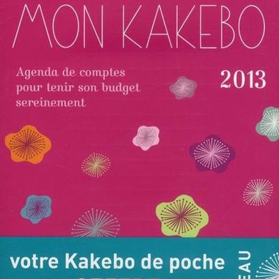 Mon kakebo 2013