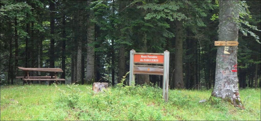 Tour du plateau de Campsaure depuis l'hospice de France AA