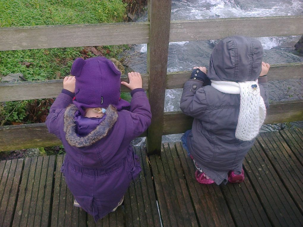 Promenade en hiver