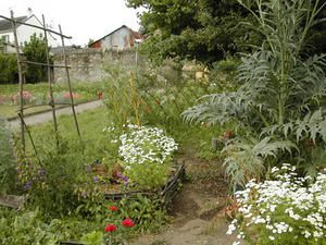 petit jardin d'inspiration médiévale