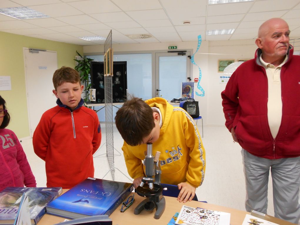 Les CE a l'exposition sur le plancton