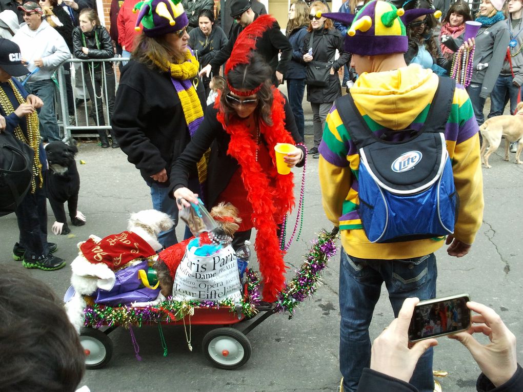 Première parade de notre premier carnaval.