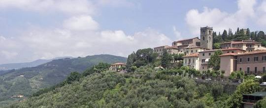 Montecatini N°802