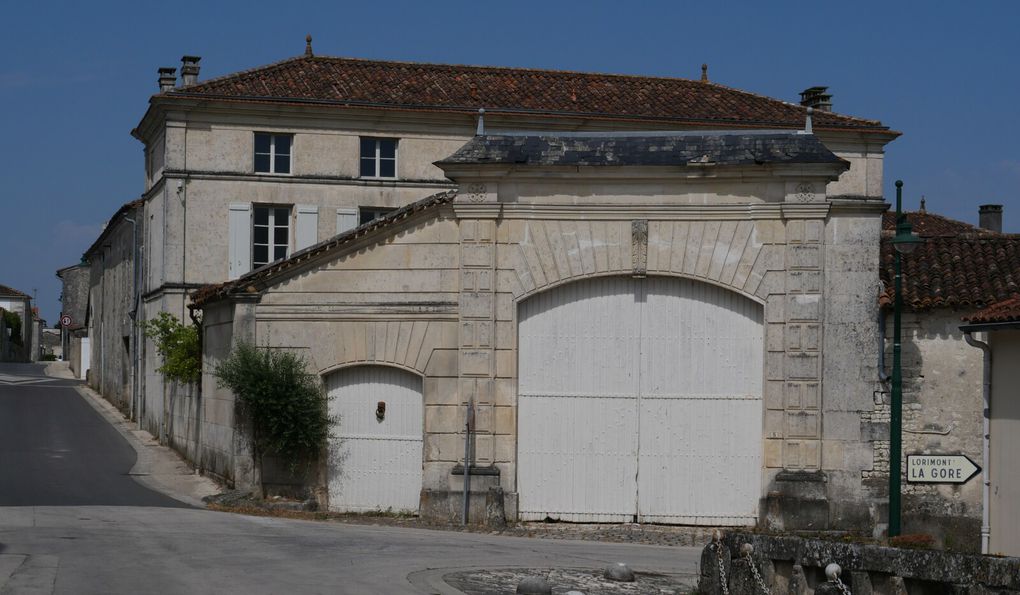 Les vignes du Cognac, du côté de Segonzac.