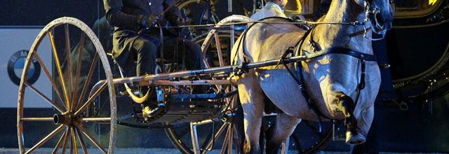 Attelages à la «115° FIERACAVALLI de VERONE »