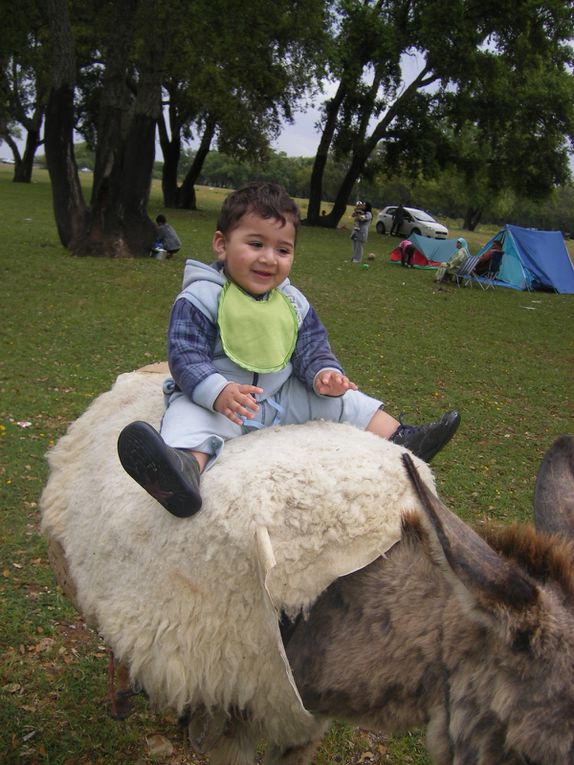 Album - dans-la-foret-Maroc