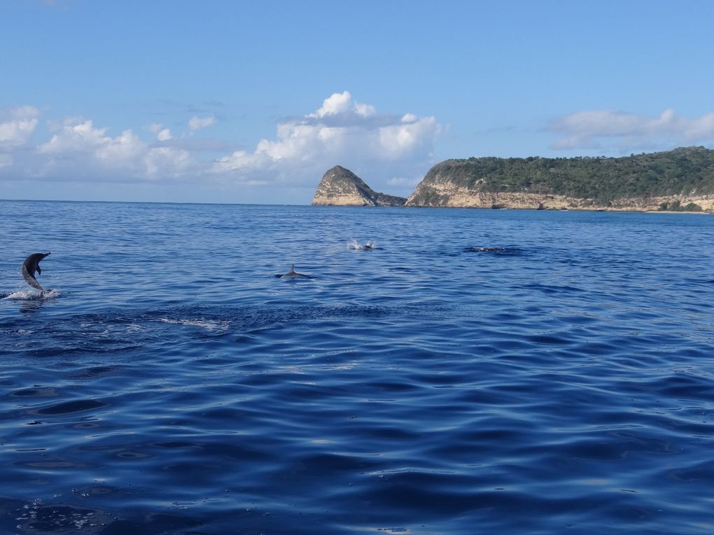 Voyage à Mayotte en mai 2013